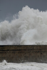 Stormy sea wave splash