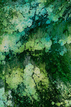 Abstract flow of liquid paints in mix