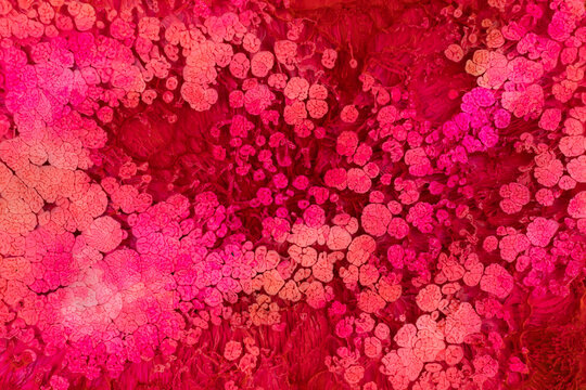 Abstract flow of liquid paints in mix