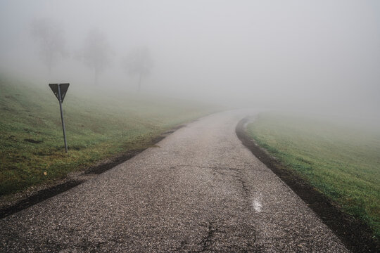 Empty road passing by green field in fog