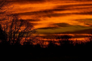 Dramatic orange sunset over the silhouettes of trees