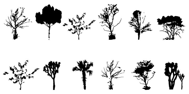 Vector silhouette of tree on white background.
