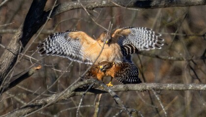 an animal sitting on top of a tree branch near a bush