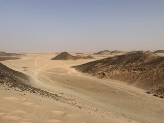 dunes in the desert