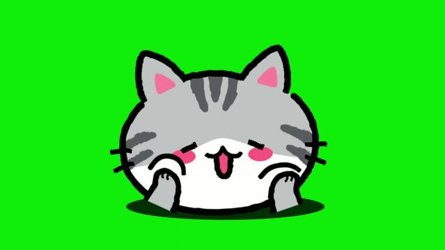 Animated funny cat facial expressions, cat stickers, on a green screen background