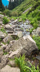 mountain river among rocks on a summer day