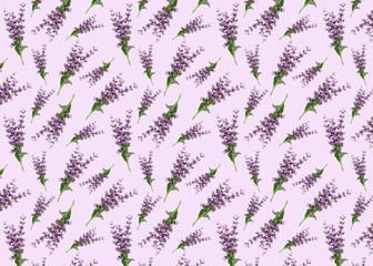 Seamless pattern with sage flowers on light background. Textile fabric design. Design for textiles, cards, wallpapers. Provence style..