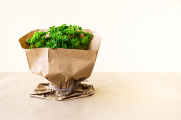 A bouquet of parsley in an eco-friendly package stands against the background of natural color, the concept of spring