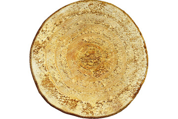 Tree trunk cross section, top view, close up, isolated on white background