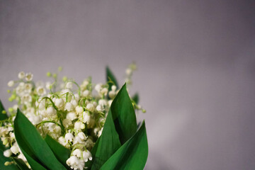 Lily of the valley, close-up, white flowers.