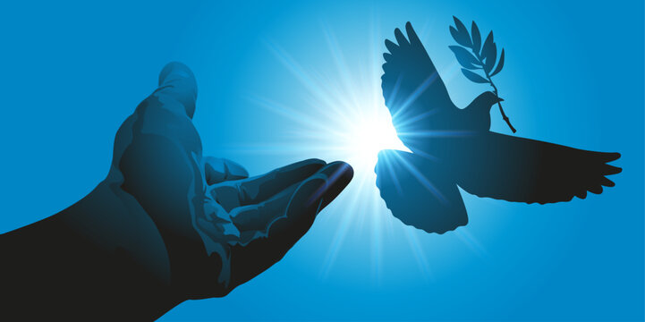 Concept de la paix et de la liberté, avec une main qui lâche une colombe tenant une branche d’olivier devant les rayons du soleil. sous un ciel bleu.