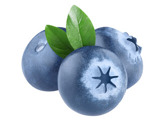 Ripe blueberries with green leaves, cut out