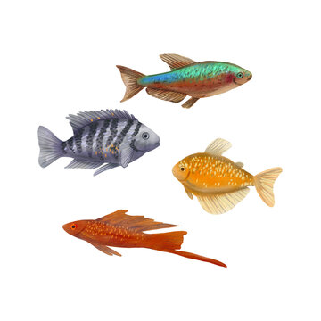 Set with marine exotic fish. Watercolor illustration of tropical underwater animals. Aquarium fish. Collection Island. Cartoon style. The illustration is suitable for design, packaging, goods