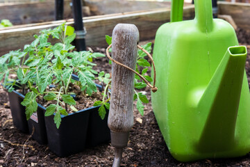 gardening tools on the ground