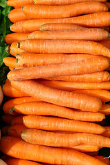 Close up heap of fresh new carrot crop