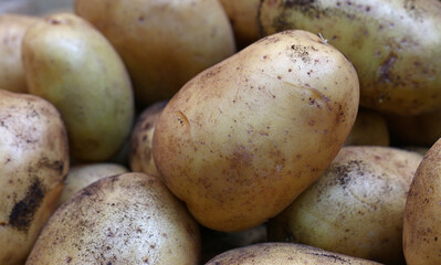 Close up heap of new potato at retail display