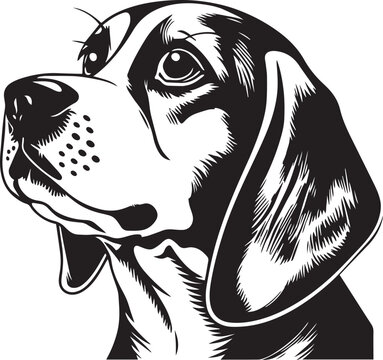 Beagle face isolated on a white background, SVG, Vector, Illustration.	