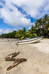 beach with palm trees and boat
