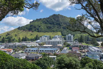 Obraz premium Landmark Mount Maunganui and residential area framed by pohutukawa trees