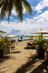 beach with palm trees and umbrellas