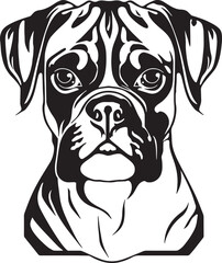 Boxer dog face isolated on a white background, SVG, Vector, Illustration.	