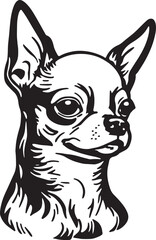 Chihuahua dog face isolated on a white background, SVG, Vector, Illustration.	
