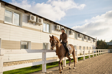 Happy woman riding on brown horse in outdoor paddock during sunny day