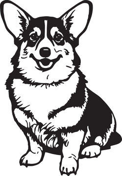 Corgi dog face isolated on a white background, SVG, Vector, Illustration.	