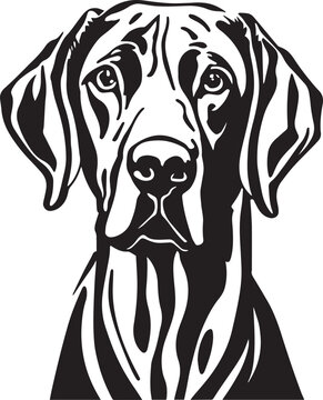 Great Dane dog face isolated on a white background, Vector, Illustration.	