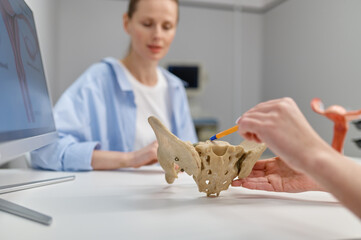 Closeup gynecologist showing structure of pelvis and pelvic floor to woman