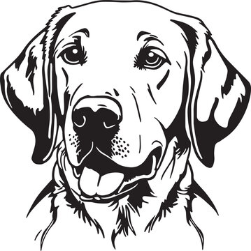 Labrador dog  face isolated on a white background, SVG, Vector, Illustration.	