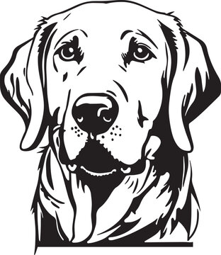 Labrador dog  face isolated on a white background, SVG, Vector, Illustration.	