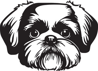 Shih tzu dog face isolated on a white background, SVG, Vector, Illustration.	