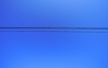 Sky with cables and birds ,blue sky and clouds