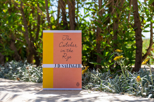 Close up J. D. Salinger's The Catcher in the Rye novel in the garden.