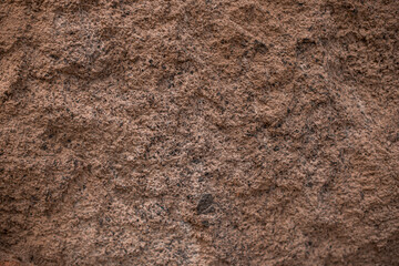rough beige stone texture. porous stone. rocky bottom
