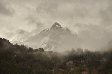 Montaña en la niebla