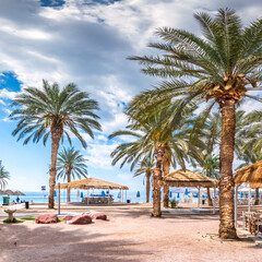 Fototapeta na wymiar Morning in a park areas near a shore of the Red Sea in Eilat - famous tourist resort and recreational city in Israel. Concept of bliss vacation and happy holiday 