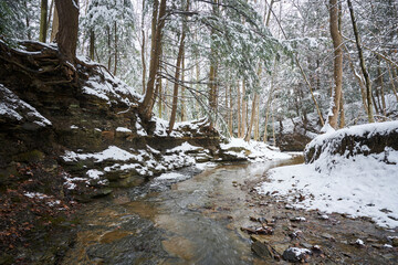 Fototapeta premium Creek runing through evergreen lined gorge in Cuyahoga Valley National Park. The hemlocks grow above the water on this cold winter day.
