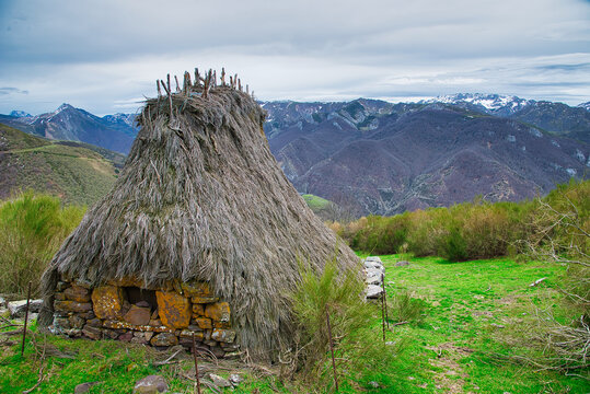 Bra&ntilde;a La Corra flock of shepherds, Camin Real de la Mesa, Somiedo Natural Park and Biosphere Reserve, Arbellales village, Saliencia valley, Asturias, Spain