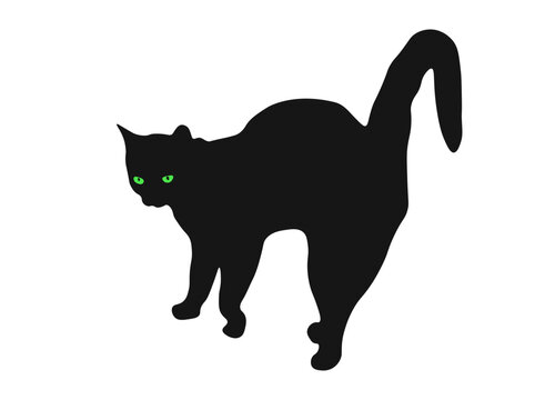 Black cat with hump and glowing green eyes isolated on white background, vector eps 10