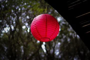Fototapeten Red lantern with blurred trees background © Jamaludinyusup