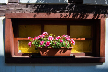 Fototapeta na wymiar Old window and flowers on the Vintage house, Eguisheim, France