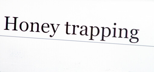 close up photo of the words honey trapping