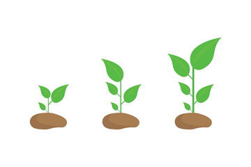 Plants Growth Icon Isolated On White Background. Vector Illustration