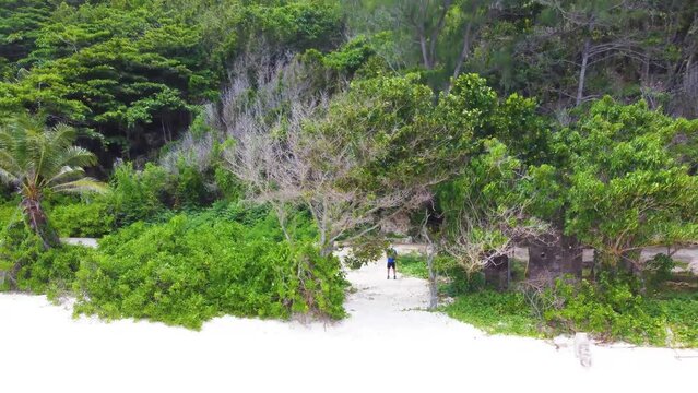 Aerial view of Anse Fourmis beach in La Digue island