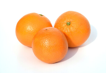 Orangenbluete, Citrus sinensis