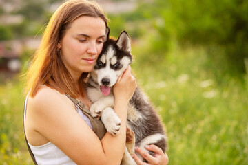 Naklejka na ściany i meble Woman playing with cute little husky puppy dog outdoors. Pet and owner love