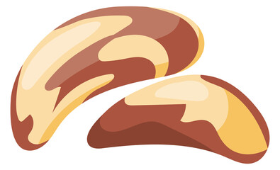 Brazil nut icon. Cartoon raw healthy seed