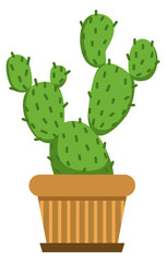 Cactus in decorative pot. Green home succulent icon